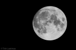 © Triin Leetmaa -  Fieldscopes are not just for bird watching. The next opportunity to see the full moon at Christmas is in 2034. Nikon D800, EDG 85A + FSA-L2 @1750 mm; F21; 1/80s; ISO400