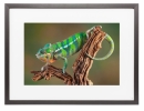 © Memento Smart Frame -  